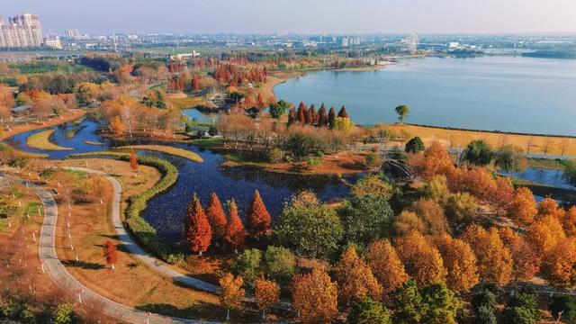 松滋冬日限定“红”，就在稻谷溪