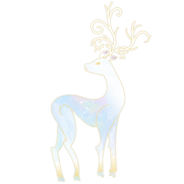 哈迷集合！全国首家“哈利·波特：禁林体验”门票免费送