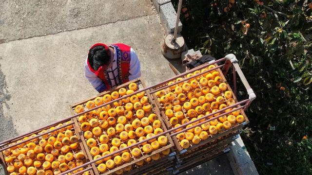 周末不忙，来趟平乐