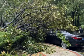 实用帖｜车辆因台风受损可以要求理赔吗？什么情况会拒赔？图片