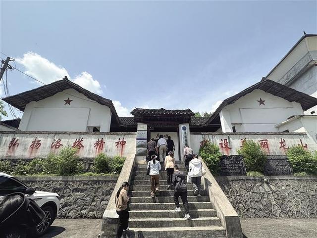 田力丨凹凸不平的洛塔