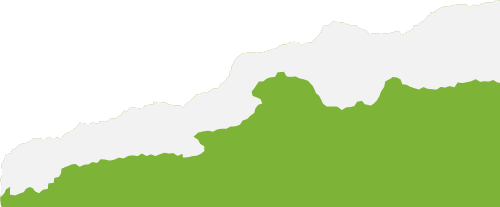 灌阳宝盖山藏不住了！夏天的山野，全是摇曳的小黄花