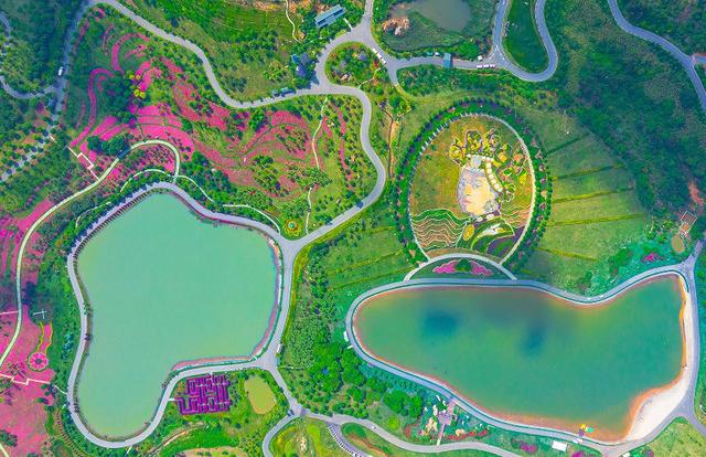 海鸥为何奔赴弥勒？原因找到了...