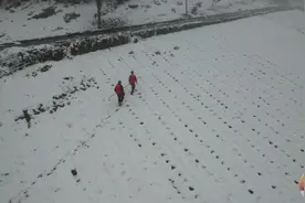 冰雪天出击 力保电网安稳运行图片