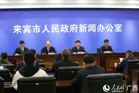 武宣：加快推进新型工业化 高质量建设现代产业新城图片