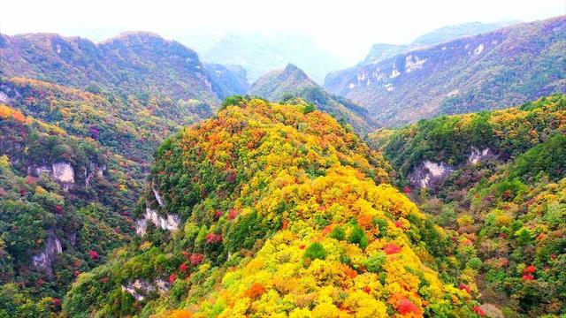 寻美兴山：又见榛子红