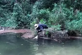 山取颜料师被“限高”背后：借亲戚60万元8年未还清，疑让员工顶包当老板逃避风险图片