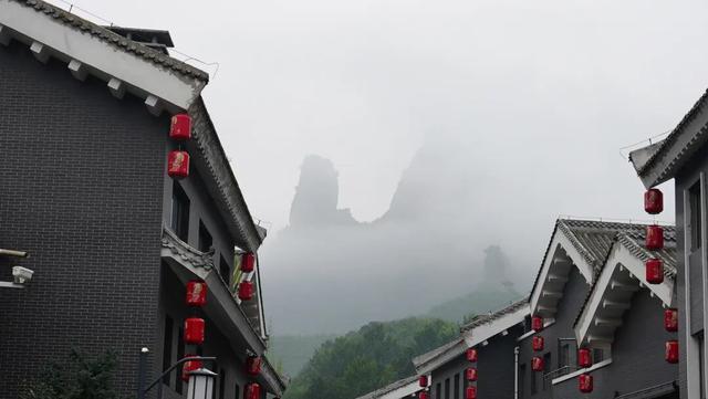 教师节专享 ｜9.6-9.14老师半价入园