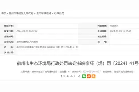 施工现场有部分裸土未进行有效覆盖，安徽鑫茂园林工程有限公司被罚图片