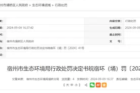 施工现场有部分裸土未进行有效覆盖，安徽鑫茂园林工程有限公司被罚图片
