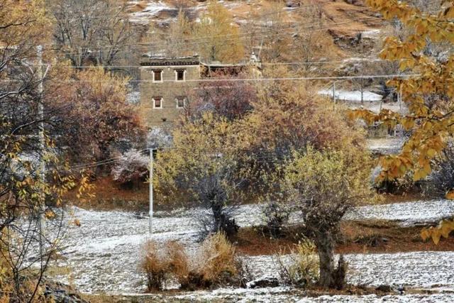 今日多地下雪！冰雪世界的川西正式上线