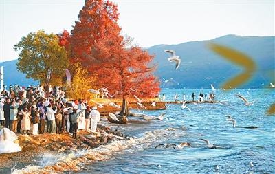 洱海好风景带来发展好光景（人与自然）