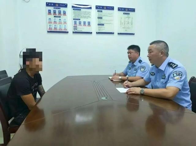 网红海豹“阿侬”被游客拖拽上岸！海南文昌公安出手