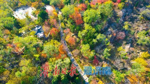 一年四季 泉在济南丨药山公园初冬美景：层林尽染处 山水入画来