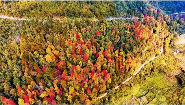 现在的黔南，已经美成这样了→