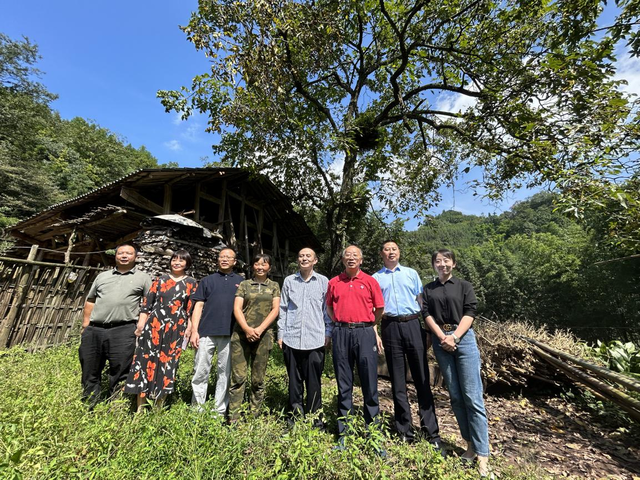 我国哪里产的石斛最好 三种人不宜吃石斛