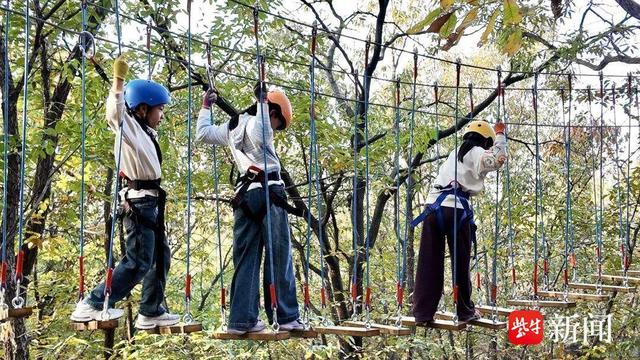 连云港：冬日海州文旅“热力”出圈 多元玩法点燃冬季旅游市场