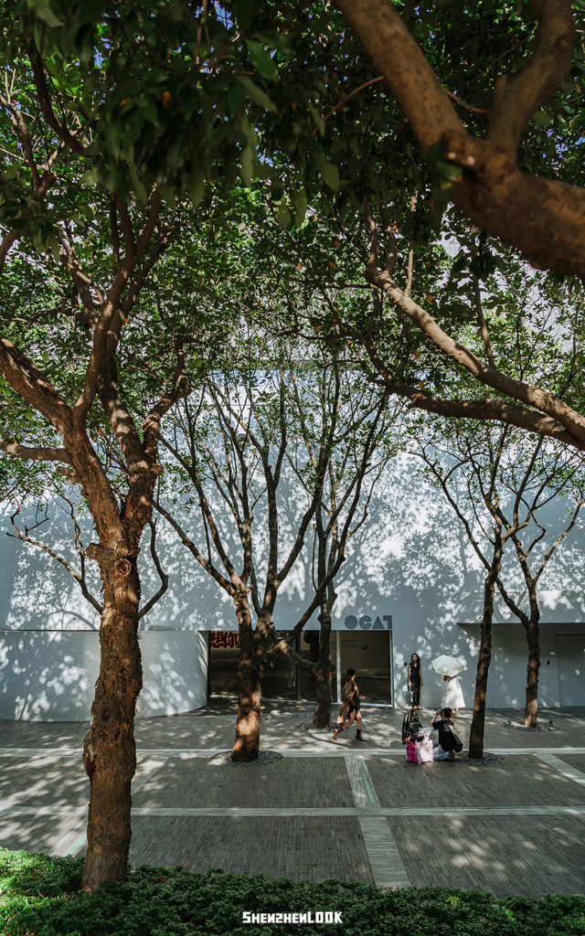 “看牛看海看夜景，深圳骑行路线精选”