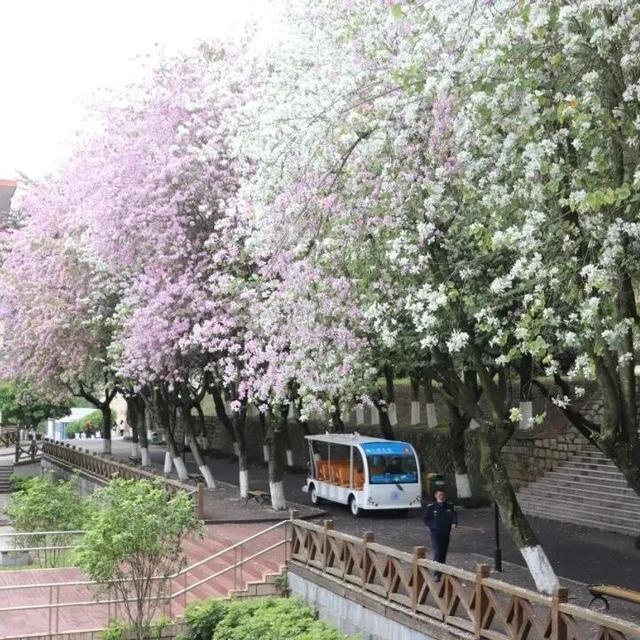 要开学啦！这些三明高校隐藏美景，还不来吗？