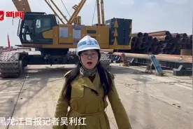 项目建设进行时｜哈尔滨都市圈环线工程项目24小时全力推进图片