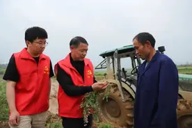 江西瑞昌：农业走上绿色高效发展路图片