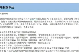 2023年国产PD-1销售成绩单：百济超5亿美元，复宏汉霖增超两倍图片