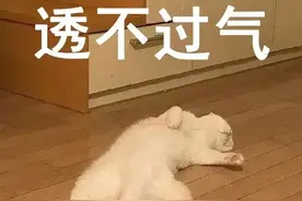 注意：身体出现这7种“臭味”，千万要小心！有些可能会出大问题！记得提醒身边人→图片