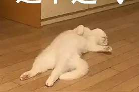 注意：身体出现这7种“臭味”，千万要小心！有些可能会出大问题！记得提醒身边人→图片