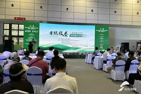 日照绿茶（岚山核心产区）济南专场推介会举行图片