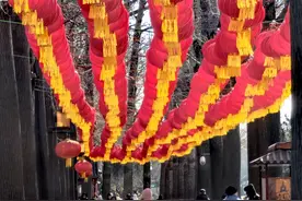 北京市属公园80余项春节游园活动，农历小年开启图片