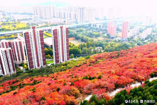 济南蝎子山，深秋 “鸳鸯火锅”景如画