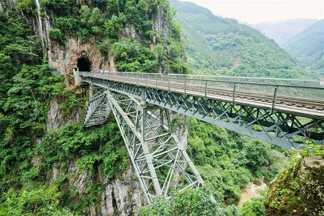 旅居红河 村长有请 | 康养秘境·森息苗韵，来屏边一起“森呼吸”