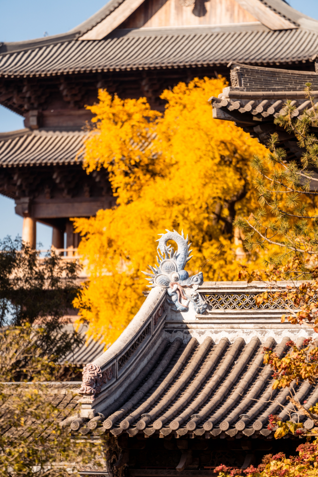 嘉兴的水乡，藏着古镇天花板级美景！