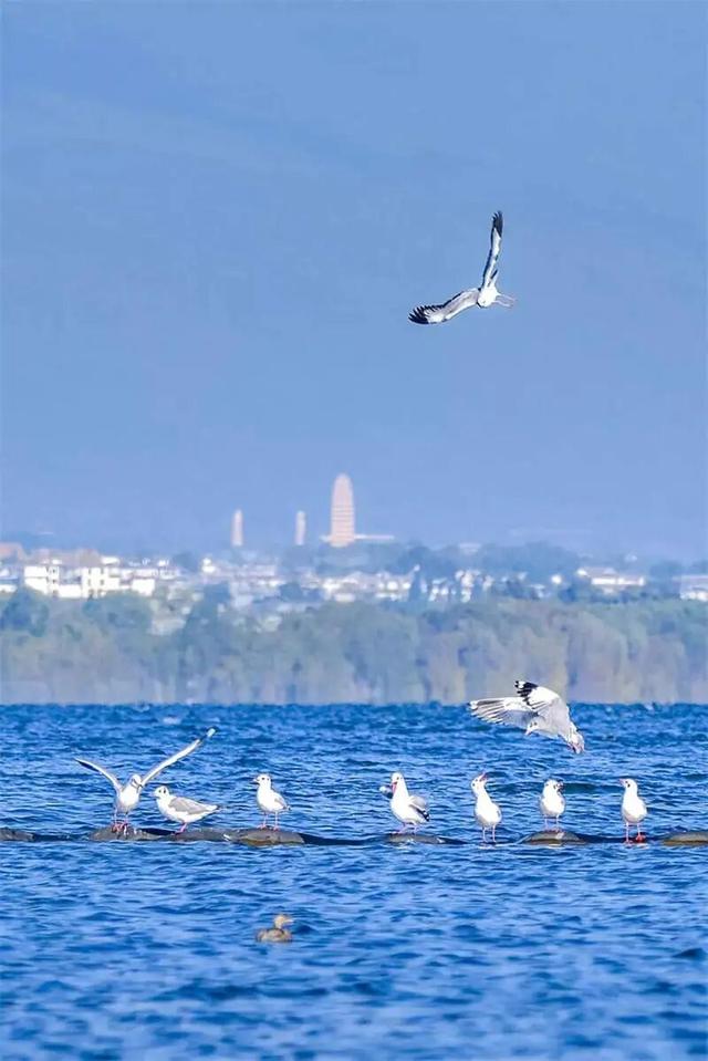 初冬的大理是这样的→