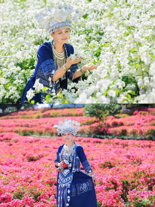 明日开幕！2025青秀山冬季赏花活动，连续四周末狂欢乐不停！