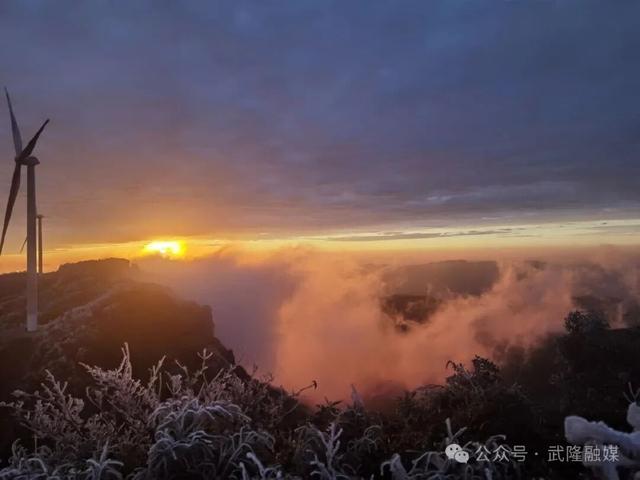 武隆：罩云山迎来今冬首场大范围雾凇美景