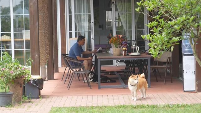 跨省“候鸟”栖居黔山，扇动百亿清凉经济
