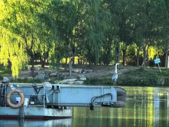 千年水脉润沃土，流绿成画映芳华：豆各庄“滨水会客厅”盛装启幕