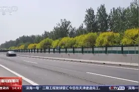 高速上遇事故如何确定准确位置？交警支招图片