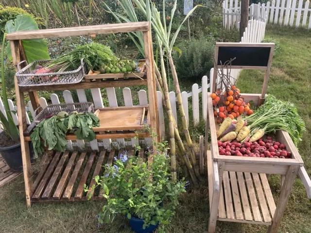 西安出发1h！这4个宝藏农场！