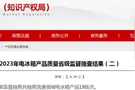 2023年山东省电冰箱产品质量省级监督抽查结果（二）图片