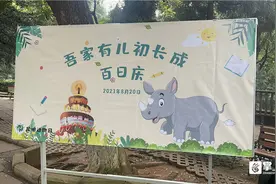 昆明动物园的犀牛宝宝“过百天”啦！图片