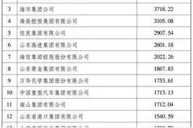 2024山东百强企业出炉，魏桥创业集团第二，还有……图片