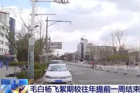 大风刚“吹跑”毛白杨飞絮，杨柳树飞絮期提前一周就来了图片