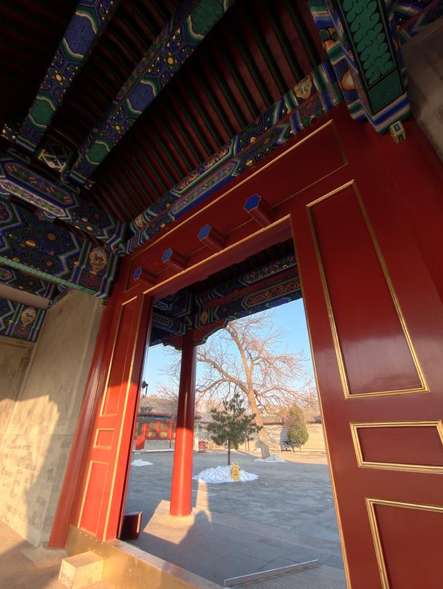 漫步团河行宫遗址公园，享受冬日静谧时光