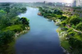 蓝绿交织，浦东大力推进生态、韧性、绿色城市建设图片