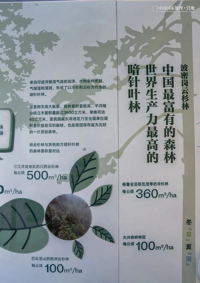 波密零碳自然驿站矩阵落成