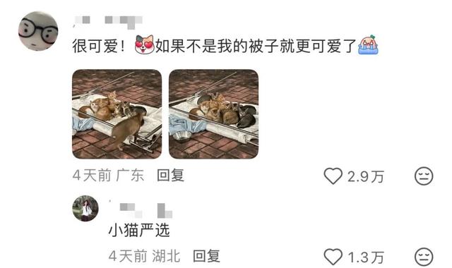 “论中国小孩对晒被子的执念”