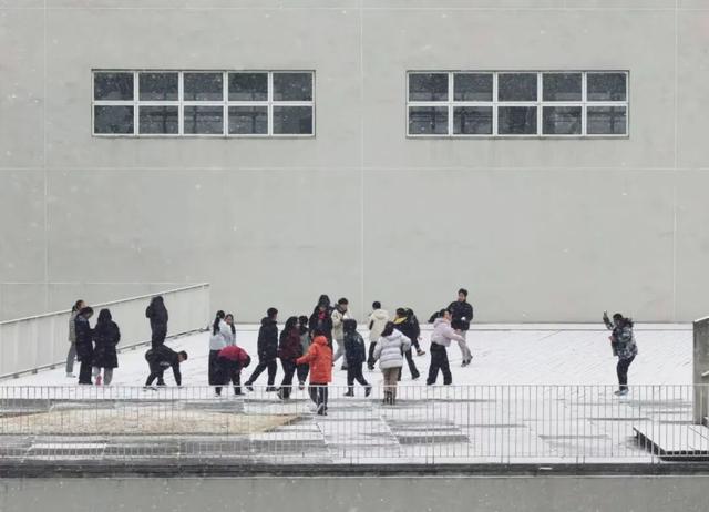 定格浪漫！吴江初雪美景图鉴！