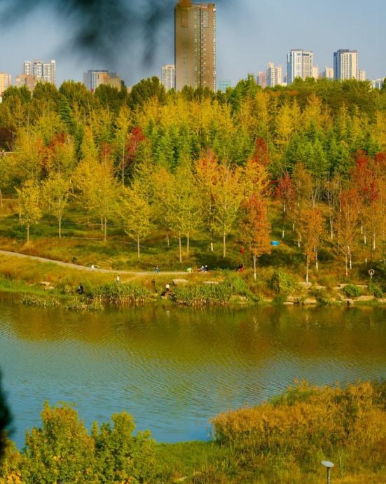 郑州这个“网红”公园的秋色绝了！附公交、地铁路线→